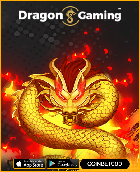 Dragon Gaming